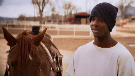 The Wild Horse Redemption