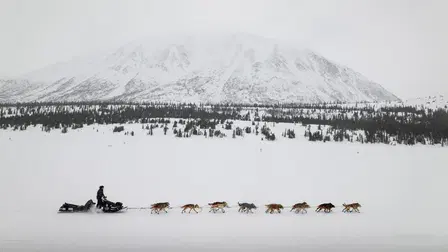 Iditarod 2024 Chasing the GOAT