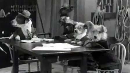 The Two Barks Brothers