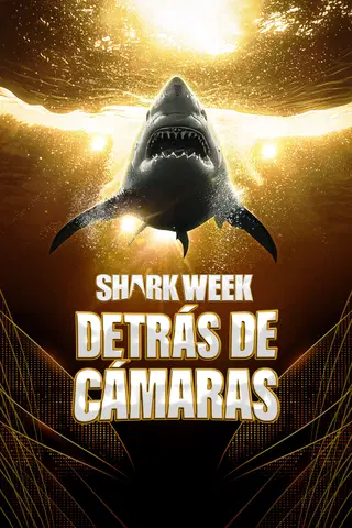 Shark week: fuera de juego