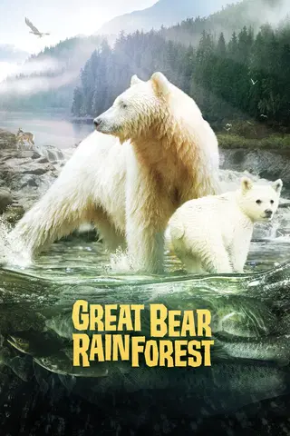 Great Bear Rainforest