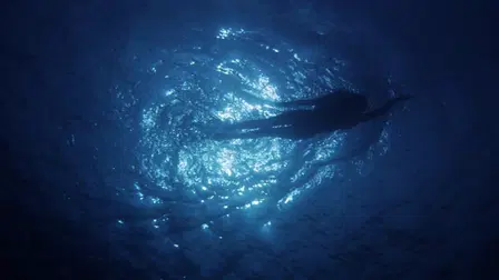 Der weiße Hai - Kultfilm mit Biss