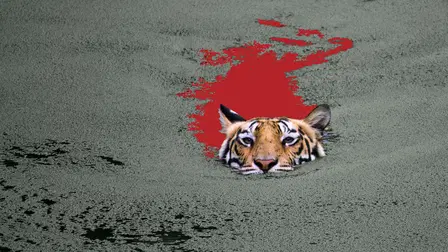 Ein Tiger auf Menschenjagd