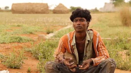 Mother India: Life Through the Eyes of the Orphan