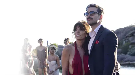 Thesis on a Domestication