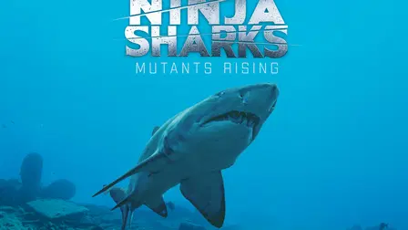 Ninja Sharks 2 - Neue Jäger der Tiefe