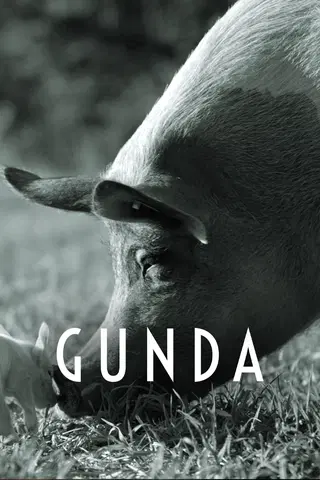 Gunda