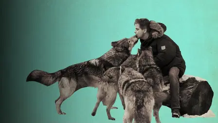 Villieläinkouluttaja