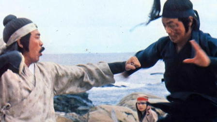 Revenge of the Ninja