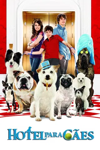 Um Hotel Bom pra Cachorro