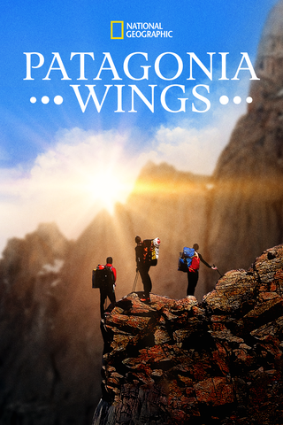 Patagonia Wings