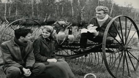 Skovridergaarden