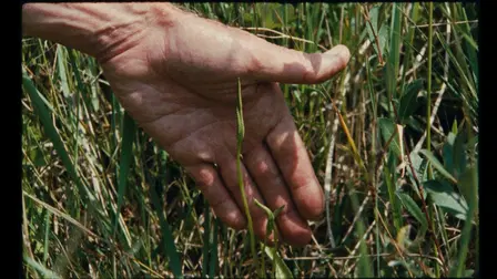 7 Walks with Mark Brown