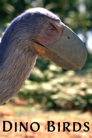 Dinosauruksista lintuihin