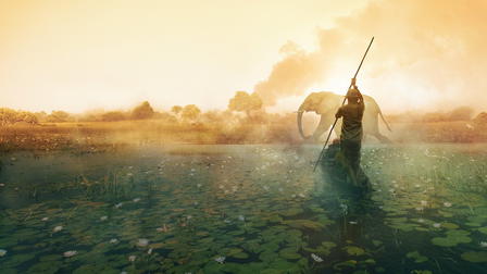 Dentro del Okavango