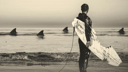 Sharkbite Beach