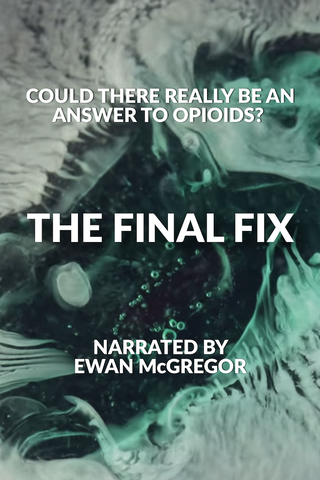 The Final Fix