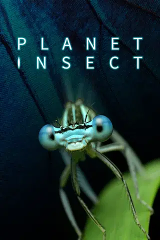 Planet Insect