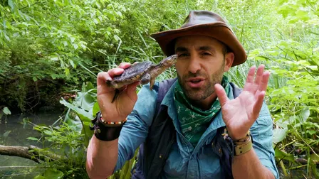 Brave Wilderness: Adorable Animals