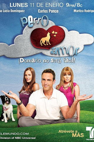 Perro amor