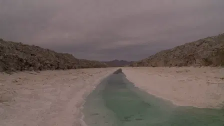 The United States of America