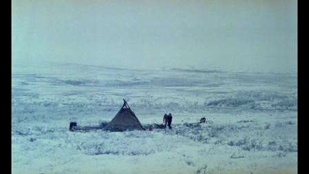 Skierri: Land of the Dwarf Birches