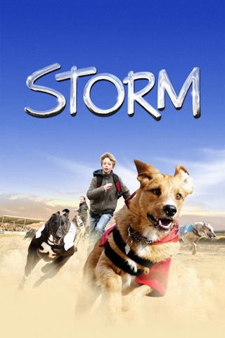 Storm, mon chien, mon ami