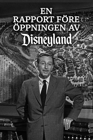 The Pre-Opening Report from Disneyland