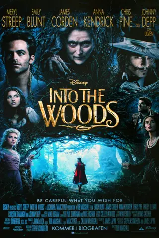 Into the Woods