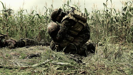 Fallen Not Forgotten