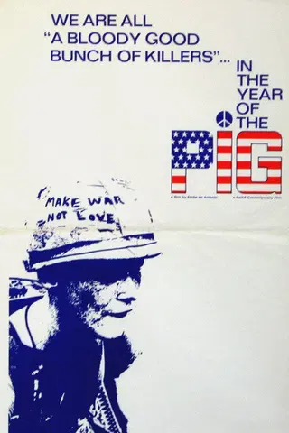 In the Year of the Pig