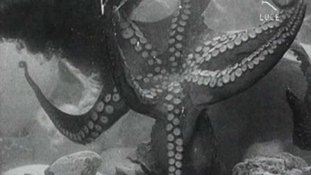 Undersea Fantasy
