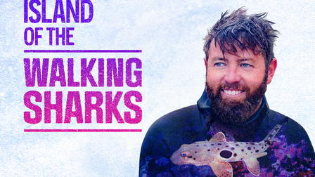 Island of the Walking Sharks
