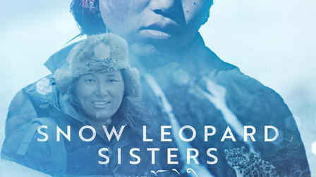 Snow Leopard Sisters