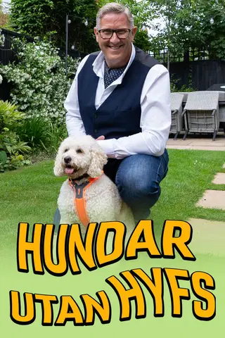 Hundar utan hyfs