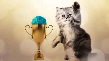 Trophy Cats