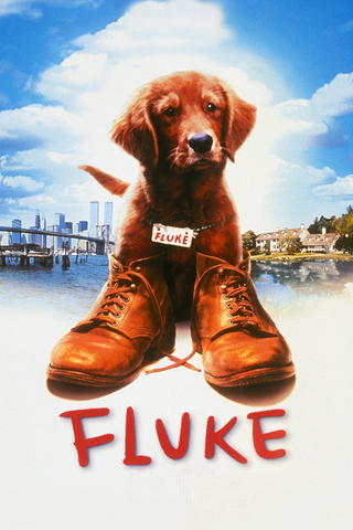 Fluke