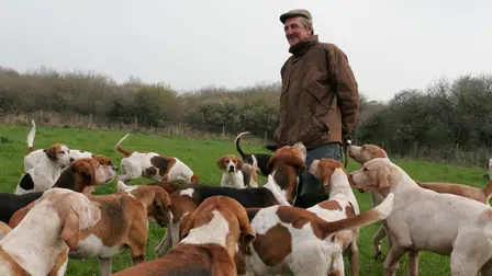 Unser täglich Fleisch
