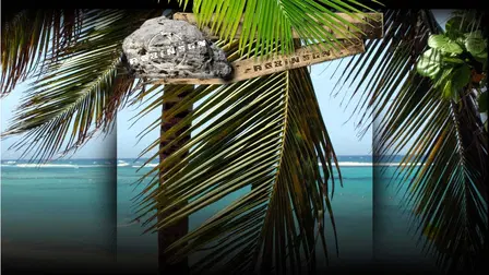 Survivor: Netherlands