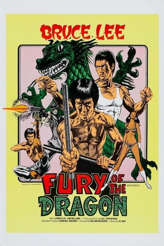 Fury of the Dragon