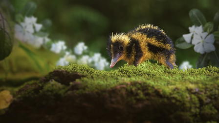 Tiny World