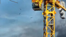 Construction Fails