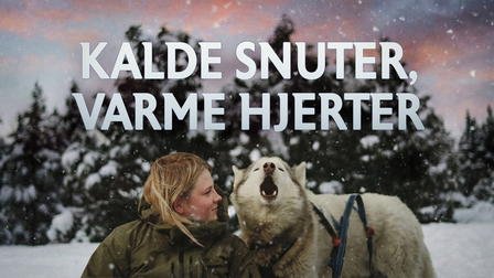 Kalde snuter, varme hjerter