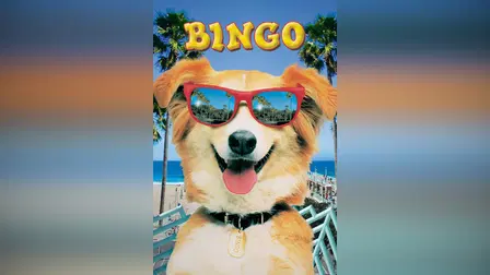 Bingo