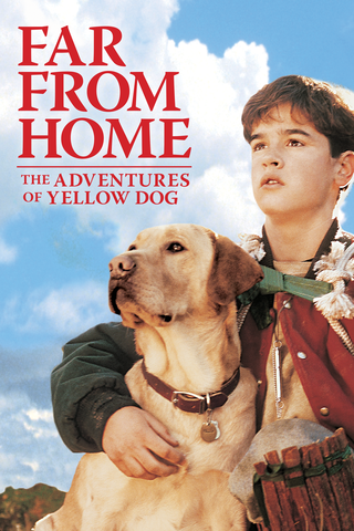 Far from Home: The Adventures of Yellow Dog