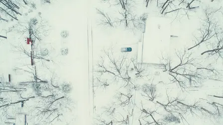 Dead Of Winter