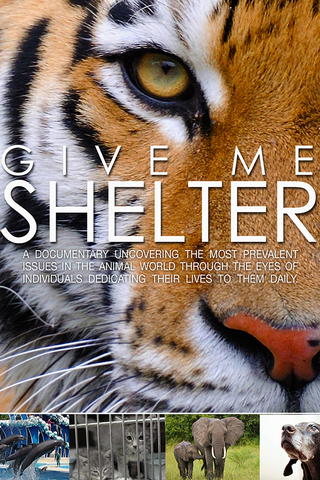 Give Me Shelter