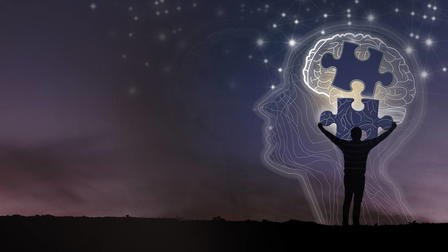 Introducción a la ciencia cognitiva