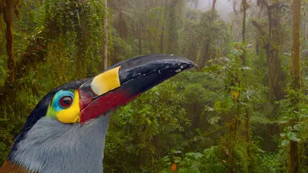 Ecuador: On the Wild Side