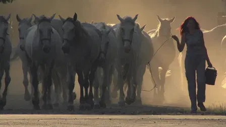 Animals That Changed History